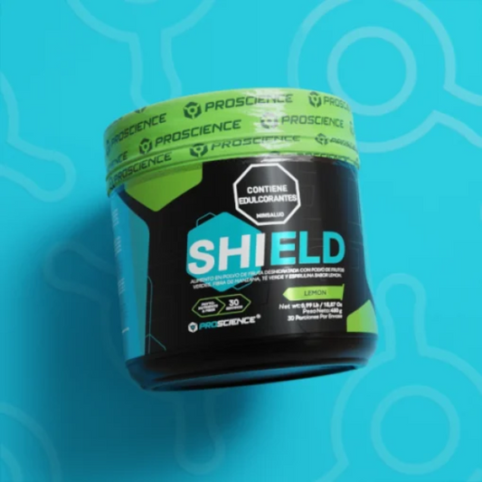 SHIELD 30 SERVICIOS